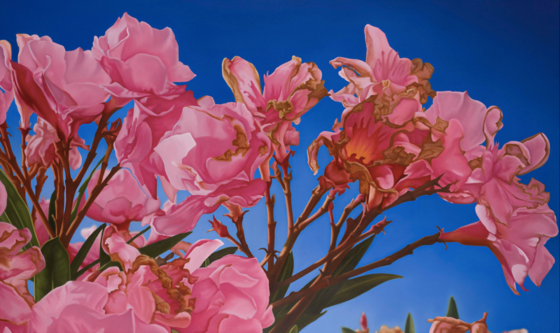 LONDRA’DA BİR TÜRK