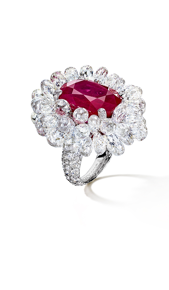 CANNES FİLM FESTİVALİNE ÖZEL KOLEKSİYON