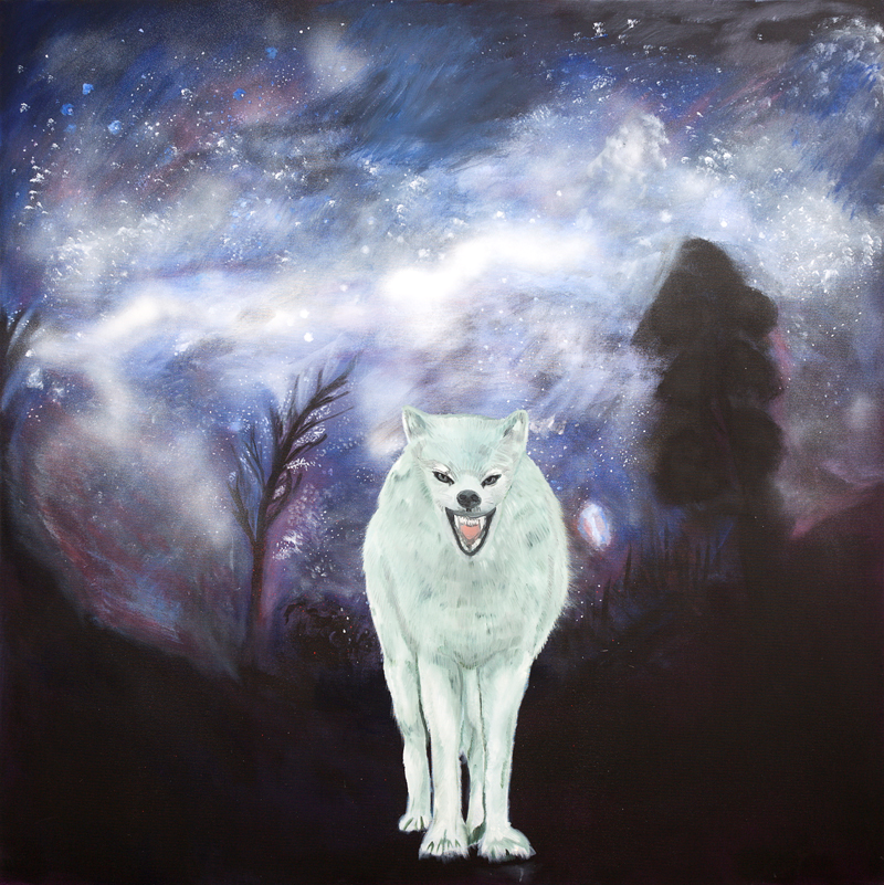 İNSANIN ARAYIŞ SERÜVENİ