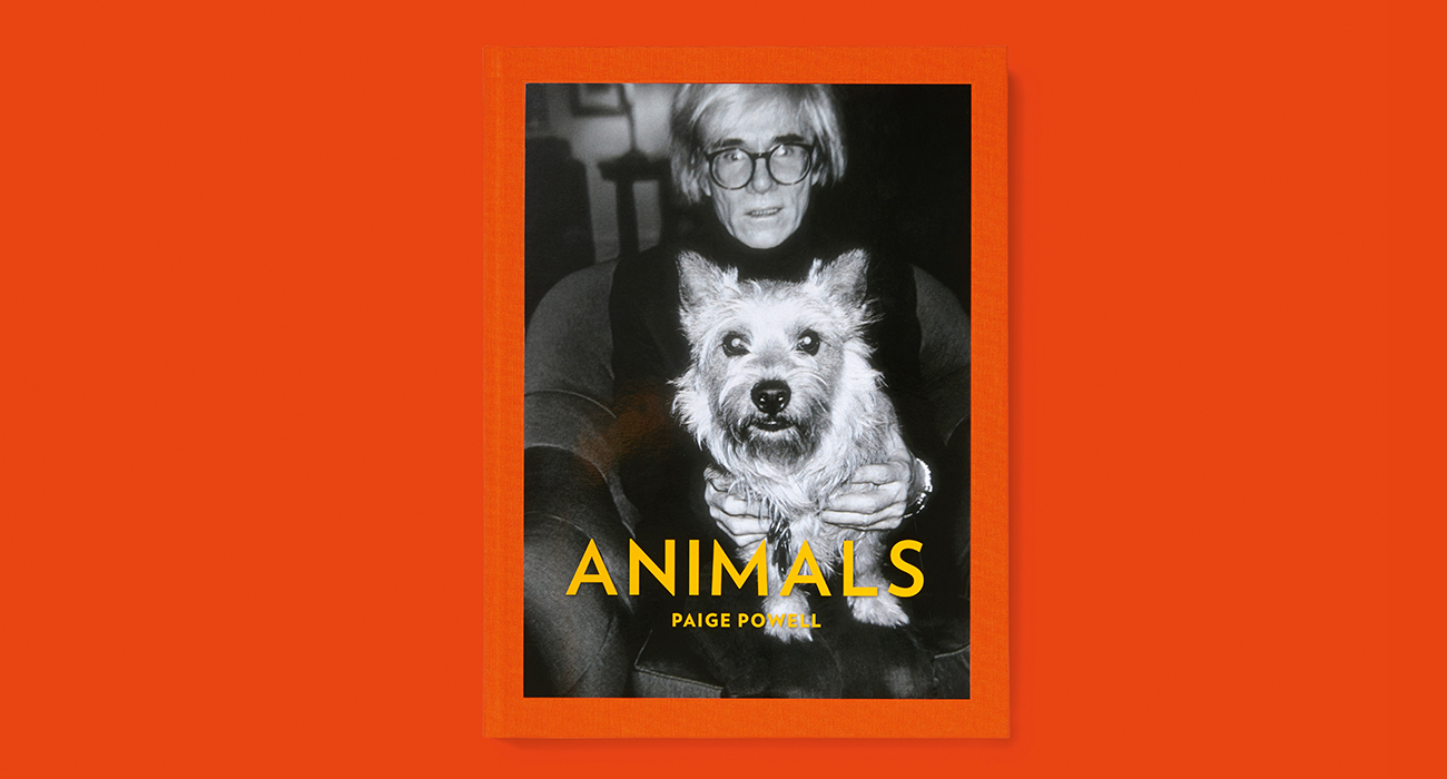 GUCCI’DEN YENİ KİTAP SERİSİ