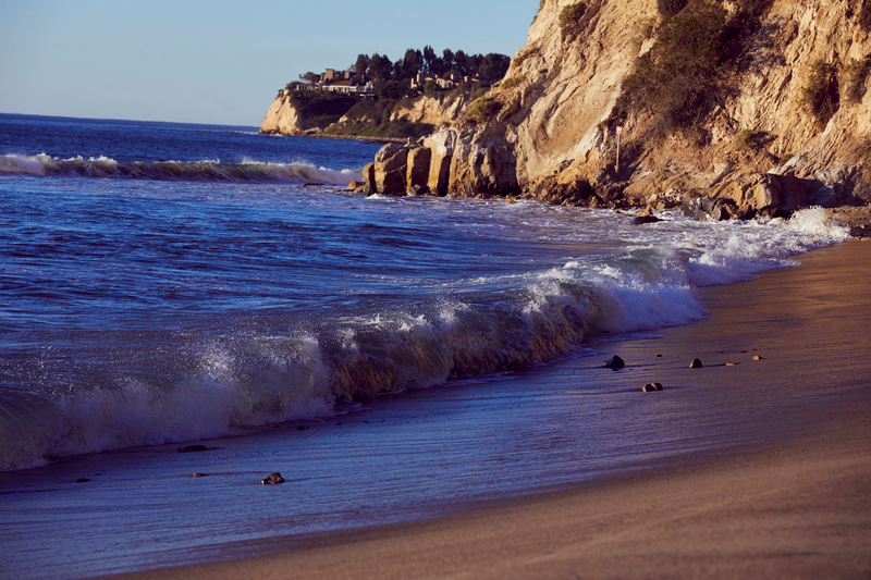 LONGCHAMP & KENDALL JENNER 