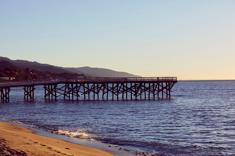 LONGCHAMP & KENDALL JENNER 