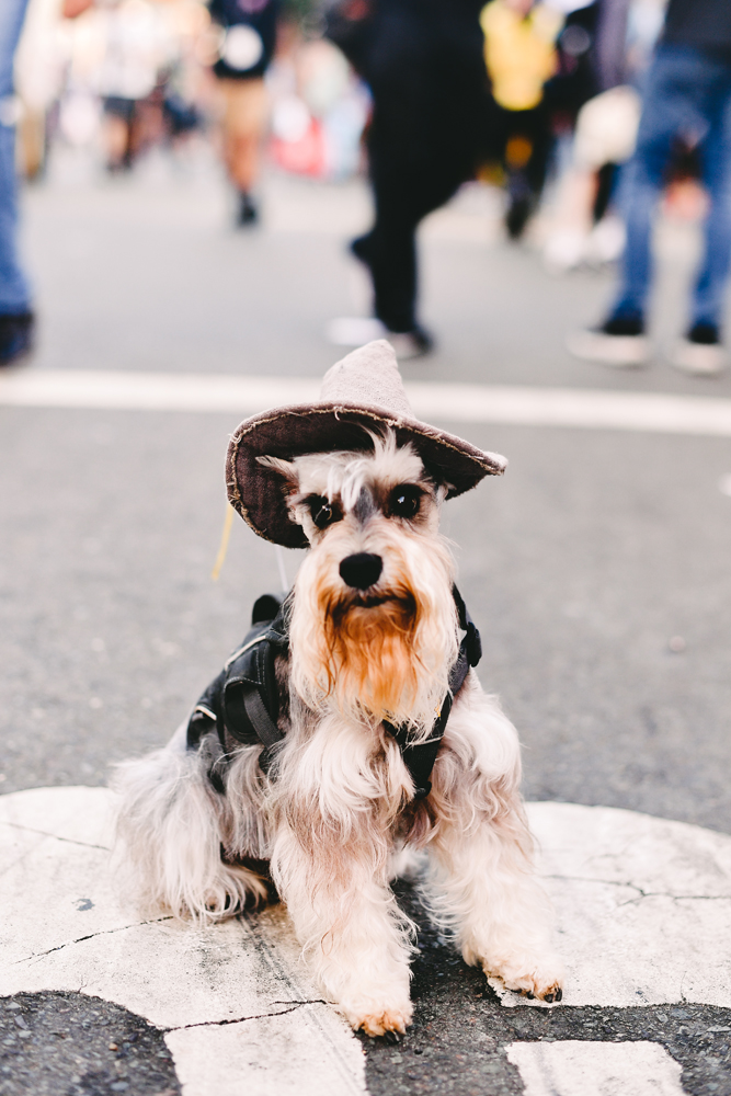 COMIC CON 2019'DAN RENKLİ KARELER