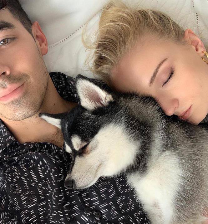 SOPHIE TURNER VE JOE JONAS NEDEN DÖVME YAPTIRDI?