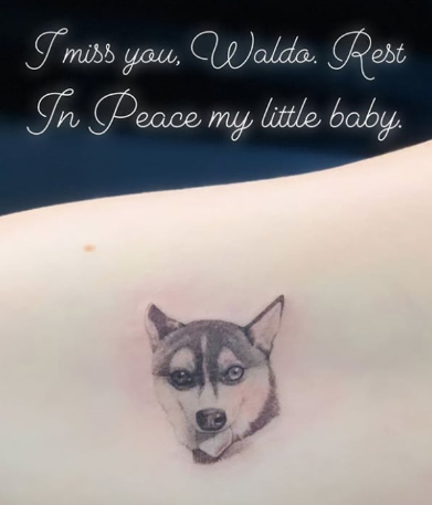 SOPHIE TURNER VE JOE JONAS NEDEN DÖVME YAPTIRDI?