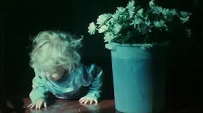 JONAS MEKAS RETROSPEKTİFİ