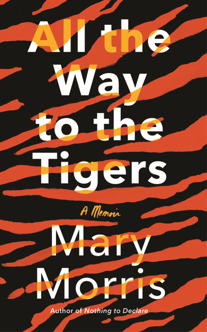 YOLCULUK TUTKUNUZU UYANDIRACAK 5 KİTAP ÖNERİSİ