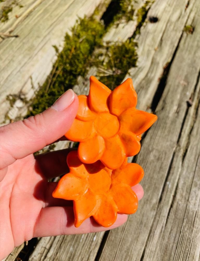 EV GÜNLÜKLERİ - KONUK: FELEKŞAN ONAR