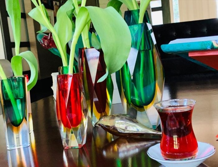 EV GÜNLÜKLERİ - KONUK: FELEKŞAN ONAR