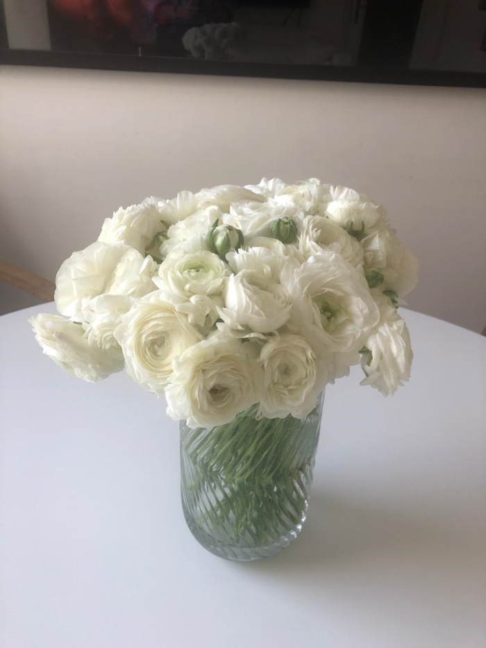 EV GÜNLÜKLERİ - KONUK: BANU BORA MUMCU