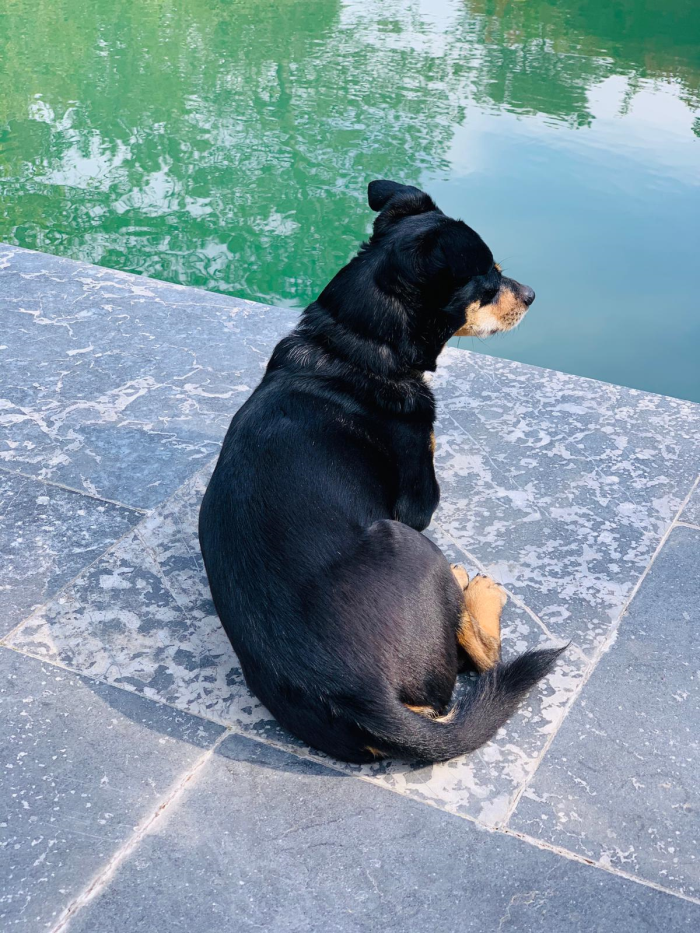 EV GÜNLÜKLERİ - KONUK: FELEKŞAN ONAR