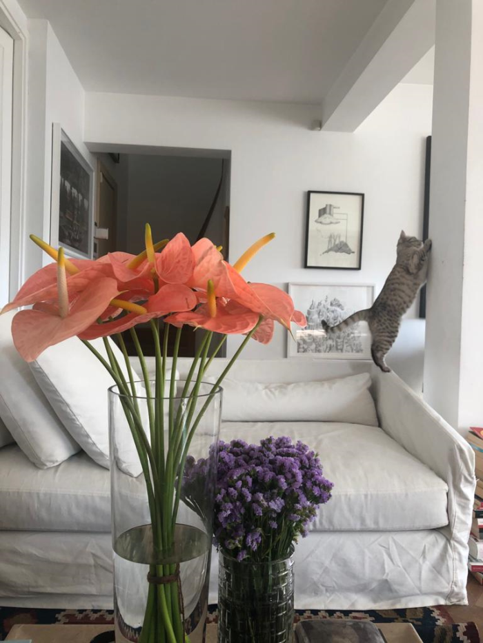 EV GÜNLÜKLERİ - KONUK: BANU BORA MUMCU