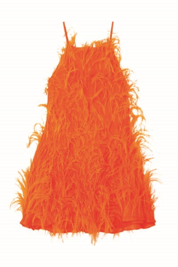  ŞİMDİ NE GİYECEĞİZ?