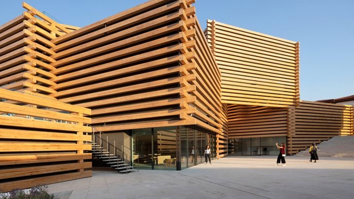 OMM'nin Eşsiz Bambu Ağacı