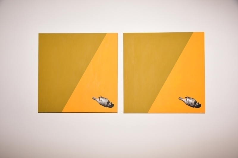 Pilevneli'de Sergi Açılışı