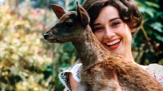 13 Ekim 2020 Günlük Burç Yorumları