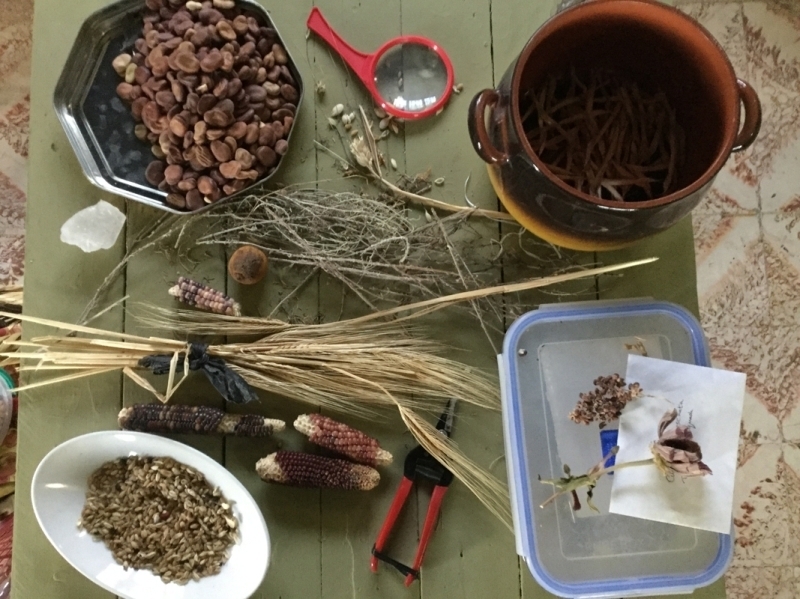 İstanbul Tasarım Bienali