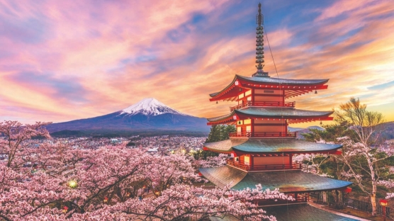 Sakura Zamanı Japonya Turu