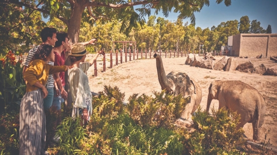 İzmir'de Nerelerde Gezilir – İzmir Seyahat Rehberi