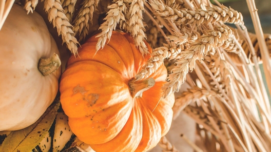 Sonbahar İçin Fit ve Lezzetli Tatlı Tarifleri