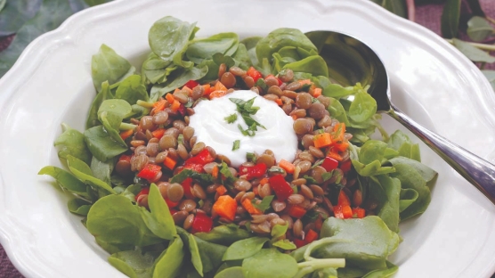 İzmir'in Yöresel Yemekleri ve Tarifleri