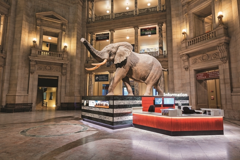 En İyi 7 Sanal Müze