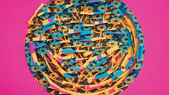 Ardan Özmenoğlu Hakkında Merak Edilenler