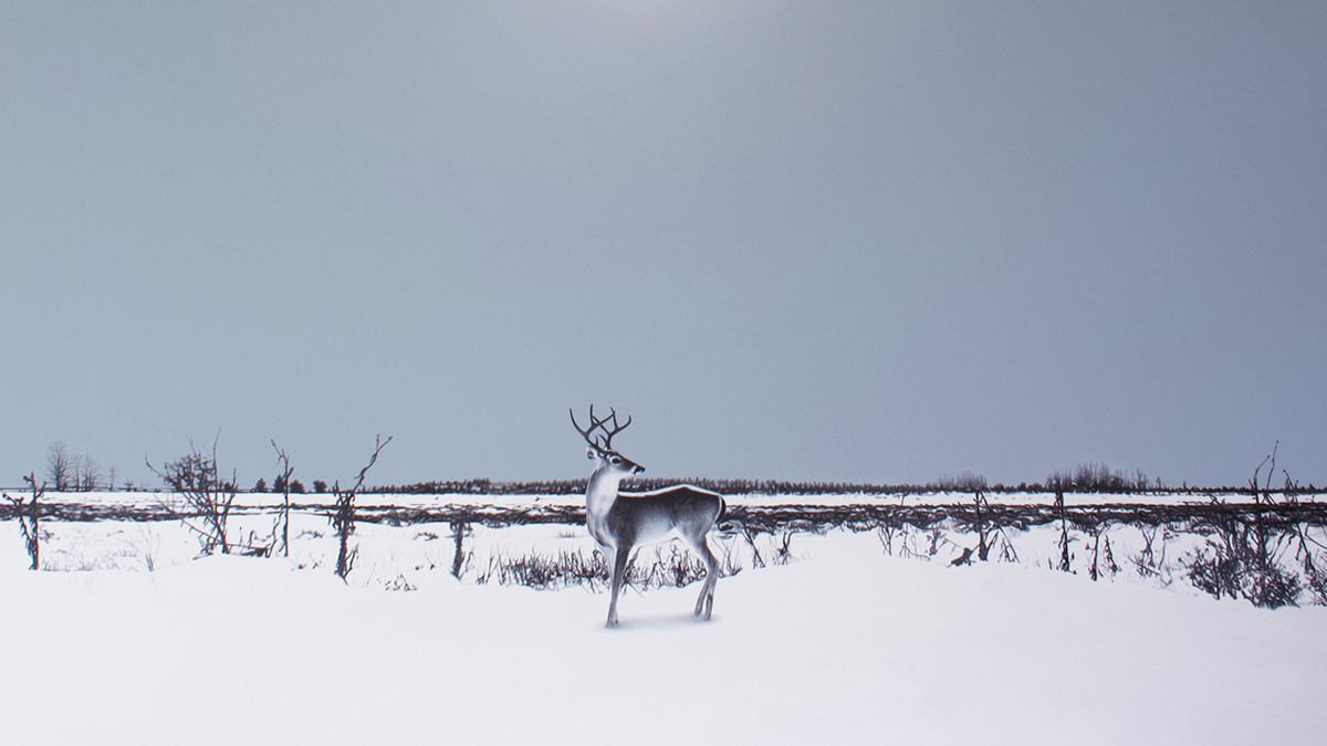 Begüm Gazioğlu ve Metin Kalkızoğlu ile Sanat Üzerine