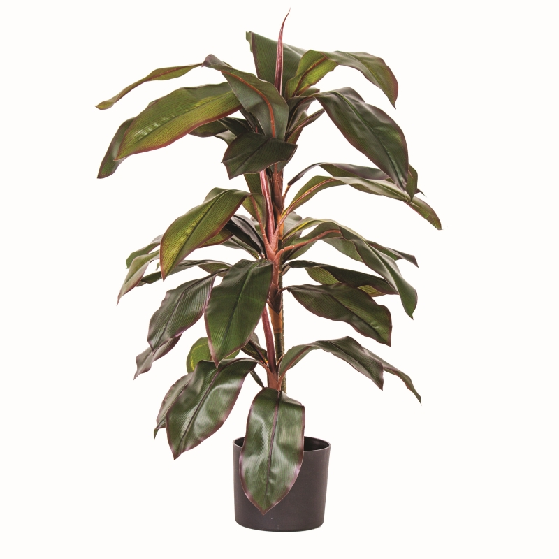 Ev Dekorasyonunda Tropikal Etki