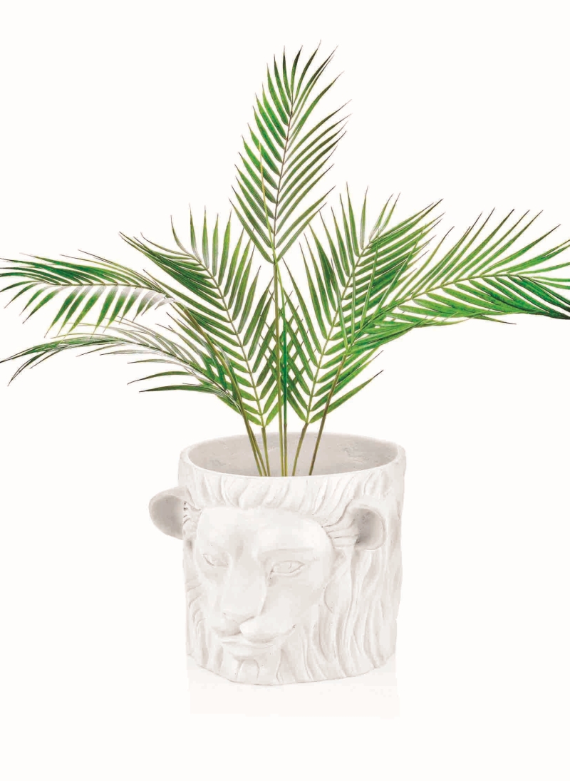 Ev Dekorasyonunda Tropikal Etki