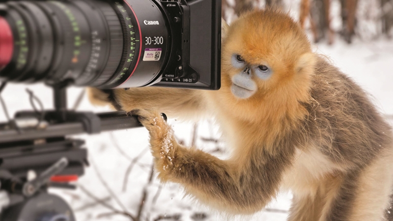 Çocuklarınızla İzleyebileceğiniz Eğitici ve İlham Verici Belgeseller