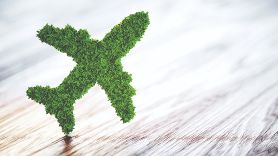 Ekoturizm ve Sürdürülebilir Seyahat Nedir? Doğa Dostu Tatil