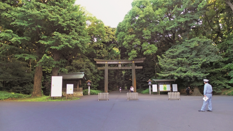 BELGESEL FİLMİYLE SoNAR İSTANBUL'DA