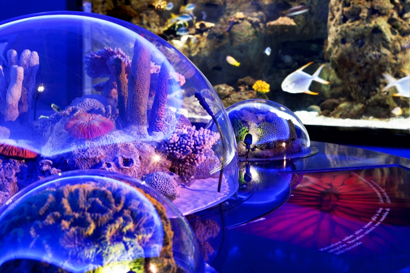 Babalar Günü Hediye Önerileri 2022