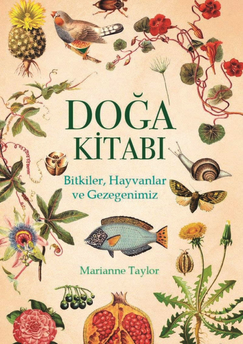 Ekolojik Yaşam İçin İlham Veren 7 Kitap Önerisi