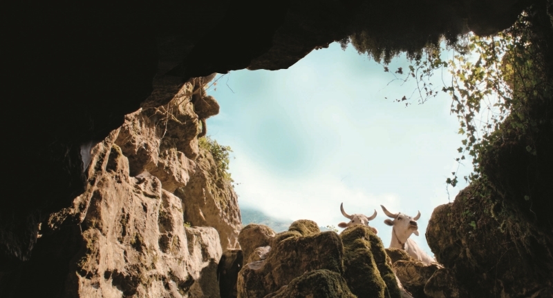 Venedik Film Festivali'nin Öne Çıkan Filmleri