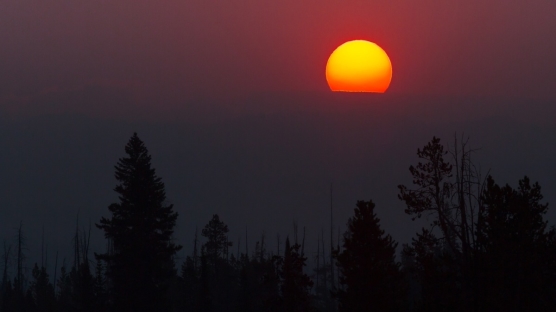 Hangi Tarihte Dünya Güneşe En Yakın Konumdadır?