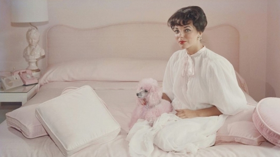 2021 Kasım Ayı Burç Yorumları