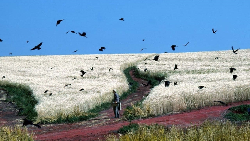 Ünlü Tablolardan Esinlenen Film Sahneleri