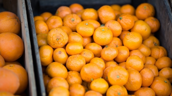 Kuru Mandalina Faydaları Nelerdir?