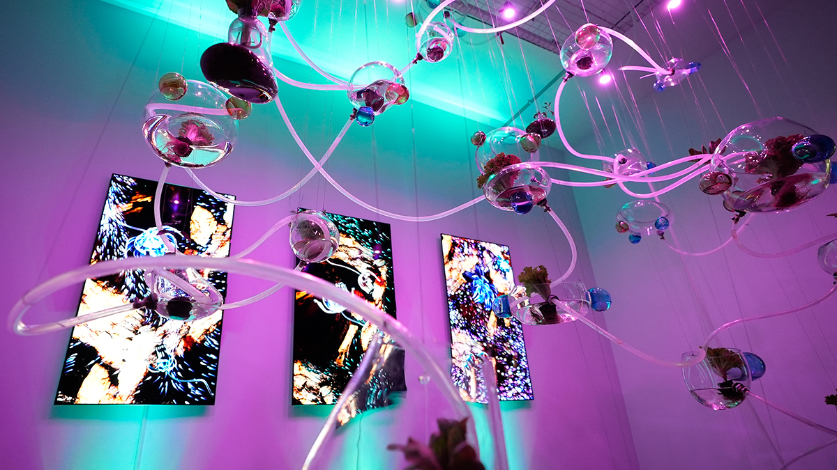 Mart Ayında Gezilebilecek Sergiler