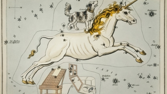 Ağustos Aylık Burç Yorumları 2022