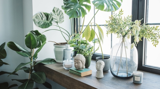 Daha Sürdürülebilir Bir Dekorasyon İçin Neler Yapılabilir?