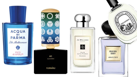 En Güzel İncir Notalı Parfümler