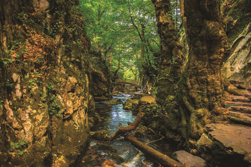 Arabayla Gezilecek En Güzel Manzaralı Sürüş Rotaları