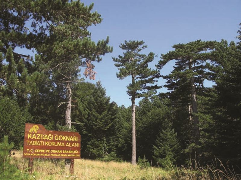 Arabayla Gezilecek En Güzel Manzaralı Sürüş Rotaları