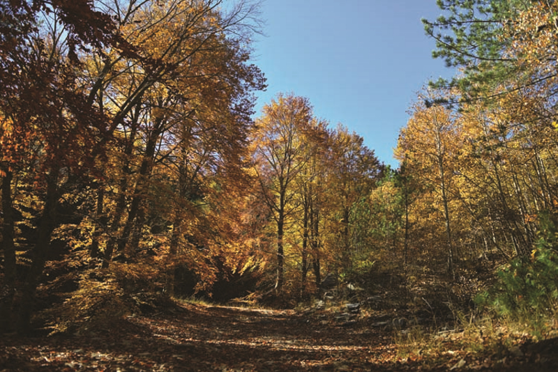 Arabayla Gezilecek En Güzel Manzaralı Sürüş Rotaları