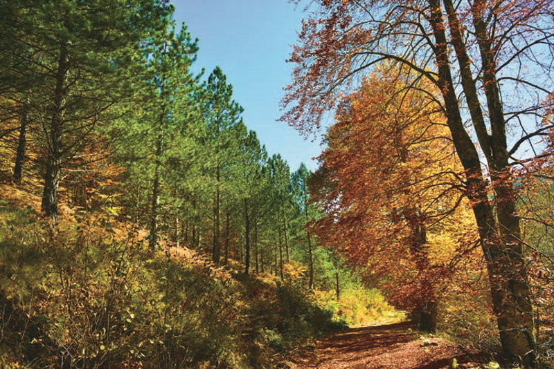 Arabayla Gezilecek En Güzel Manzaralı Sürüş Rotaları