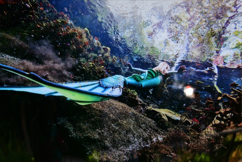 Ayşegül Dinçkök ve Koray Erkaya'nın Kitap Lansmanı