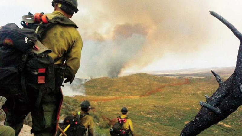 Bu Hafta Vizyona Giren Filmler “8-14 Aralık 2017”